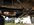 IMG_2838.jpeg