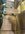 image0 (5).jpeg