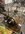 IMG_8960.jpeg