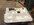 IMG_9995.jpeg