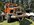 IMG_9743.jpeg