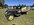 IMG_9747.jpeg