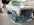 IMG_8074.jpeg