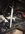 IMG_5941.jpeg