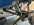 IMG_0899.jpeg