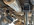 IMG_0901.jpeg