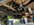 IMG_2880.jpeg