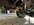 IMG_2879.jpeg