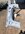 IMG_4771.jpeg