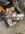 IMG_8979.jpeg