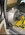 IMG_0598.jpeg