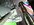 20240927_111250_resized.jpg