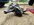 IMG_9762.jpeg