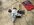 IMG_9761.jpeg
