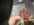 20240930_125341.png