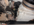 Screenshot 2024-10-01 151634.png
