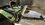 IMG_1988.jpeg