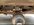 IMG_4103.jpeg
