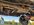IMG_6309.jpeg