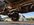 IMG_6310.jpeg