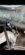IMG_1036.png