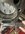 IMG_2856.jpeg