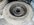 IMG_9979.jpeg