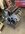 IMG_9006.jpeg