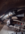1728588830302.png