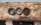 1728589631673.png