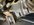 IMG_9026.jpeg