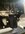 IMG_9016.jpeg