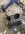 IMG_9027.jpeg
