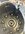 IMG_1254.jpeg IMG_1254.jpeg