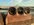 IMG_1154.jpeg IMG_1154.jpeg