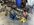 IMG_0064.jpeg