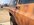 IMG_0423.jpeg