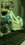 IMG_1228.jpeg