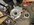 IMG_9047.jpeg