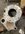 IMG_9048.jpeg