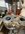 IMG_9050.jpeg