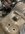 IMG_9053.jpeg