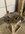 IMG_9056.jpeg