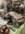 IMG_9058.jpeg