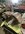 IMG_9057.jpeg