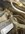 IMG_1346.jpeg