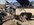 IMG_5220.jpeg