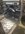 IMG_4985.jpeg