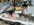 IMG_4984.jpeg