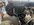 IMG_4986.jpeg